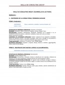 MALLA DE CONSULTING GROUP. DESARROLLO DE LOS TEMAS.