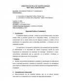 Seguridad publica y ciudadana.