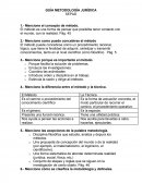 Guia Metodologia juridica.