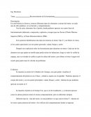 PRACTICA AUTOMOTORES.