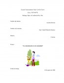 Ensayo: “La contaminación en mi comunidad”