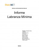 Informe - Labranza Mínima.
