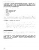 Sistema endomembranas.