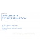 DIAGNOSTICOS DE ENFERMERIA PRIORIZADOS.