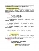 Short and long adjectives.