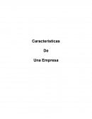 Características de una empres.