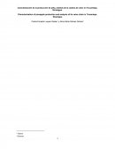 Cadenas de valor en ticuantepe.