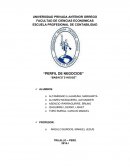 PERFIL DE NEGOCIOS “BABACO´S HOUSE”