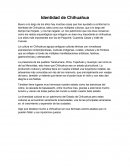 Identidad de chihuahua.