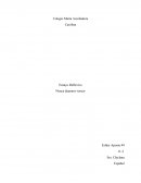 Ensayo Reflexivo Nunca dejarnos vencer