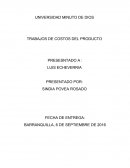 ENSAYO COSTOS VARIABLES.