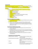 GLOBALIZACION - RESEÑA