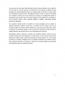 Las ecuaciones de primer grado.