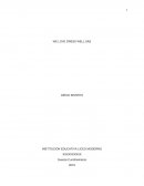 PROYECTO CREACION DE ALMACEN DE ROPA.