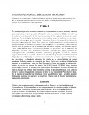 EVOLUCIÓN HISTÓRICA DE LA BIBLIOTECOLOGIA EMILIA CURRÁS