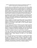 ¿HTML 5 sustituirá Flash para poder mejorar las competencias de diseño y de creación de sitios web en los programadores de sitios web?