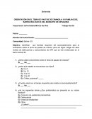 ORIENTACIÓN EN EL TEMA DE PAUTAS DE CRIANZA A 10 FAMILIAS DEL BARRIO BOLÍVAR 83 DEL MUNICIPIO DE ZIPAQUIRA