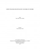 ESTRUCTURAS ORGANIZACIONALES DE VANGUARDIA EN COLOMBIA