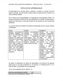 Estilos de aprendizaje. Resumen