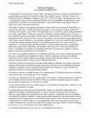 Informe de Pedagogía “La escuela de la señorita Olga”