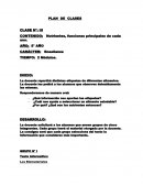 Nutrientes, funciones principales de cada uno.