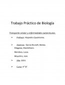 Trasporte celular y enfermedades autoinmunes