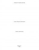 Estrategias competitivas.