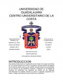 VISUALIZACION DE CELULAS DE LA SANGRE Y DE CLOROPLASTOS.