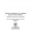 Aspectos psicológicos en la consejería sexual en cáncer testicular