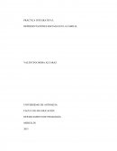 PRÁCTICA INTEGRATIVA I: REPRESENTACIONES SOCIALES EN LA FAMILIA.