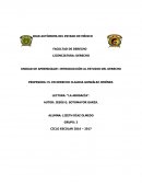 La Abogacía Resumen del Libro