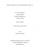 Estudio de Caso el Ganso Levanta el Vuelo