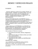 BIENES Y DERECHOS REALES REPASO PATRIMONIO