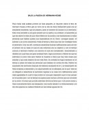 BAJO LA RUEDA DE HERMANN HESSE