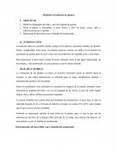 Informe medición crecimiento de plantas