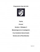 El acné Químico - Biológico II Metodología de la Investigación