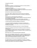 Investiagacion de Mercado Resumen.