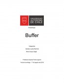 Kinesiología Buffer Integrantes