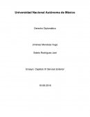 Ensayo: Capitulo IX Servicio Exterior