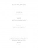 ENSAYO DE LEGISLACION LABORAL COMPETENCIA