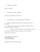 RAZONES POR LAS CUALES ES IMPORTANTE ESTE PRODUCTO.