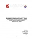 Proyecto investigativo cera liquida