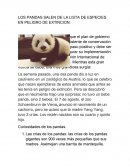 LOS PANDAS SALEN DE LA LISTA DE ESPECIES EN PELIGRO DE EXTINCION..