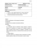 Introducir al participante a la terminología de actuadores.