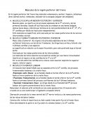 Musculos de la region posterior del tronco.