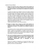 Auditoría De Activos Diferidos