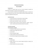 Proyecto para Feria de Ciencias. Tema: “los lacteos”.