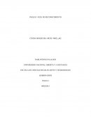 Trabajo de reconocimiento ingles II