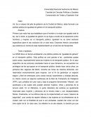 Igualdad de genero en el transporte publico