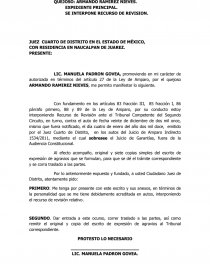 EXPEDIENTE PRINCIPAL. SE INTERPONE RECURSO DE REVISION.. Página 1